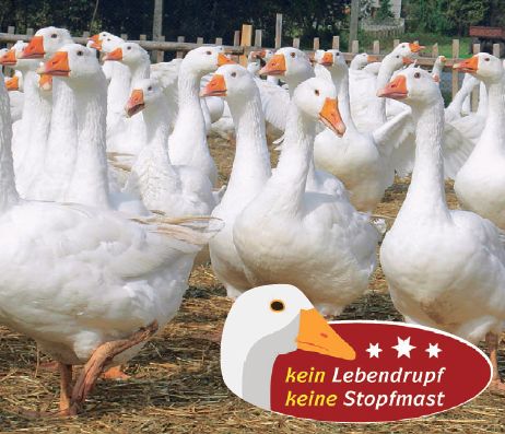 Tierschutz_1_neu
